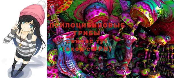 таблы Новокубанск