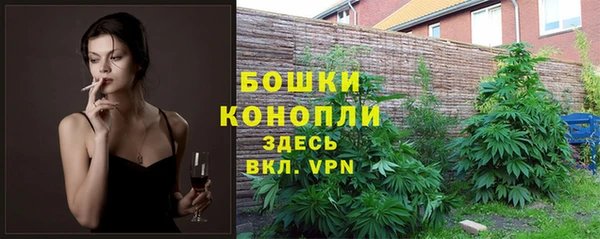 тгк Новозыбков