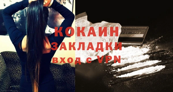 тгк Новозыбков