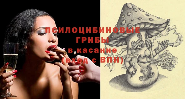 тгк Новозыбков
