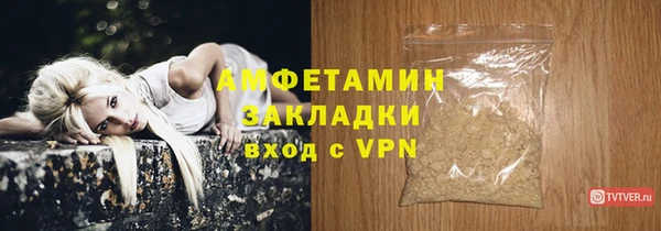 тгк Новозыбков