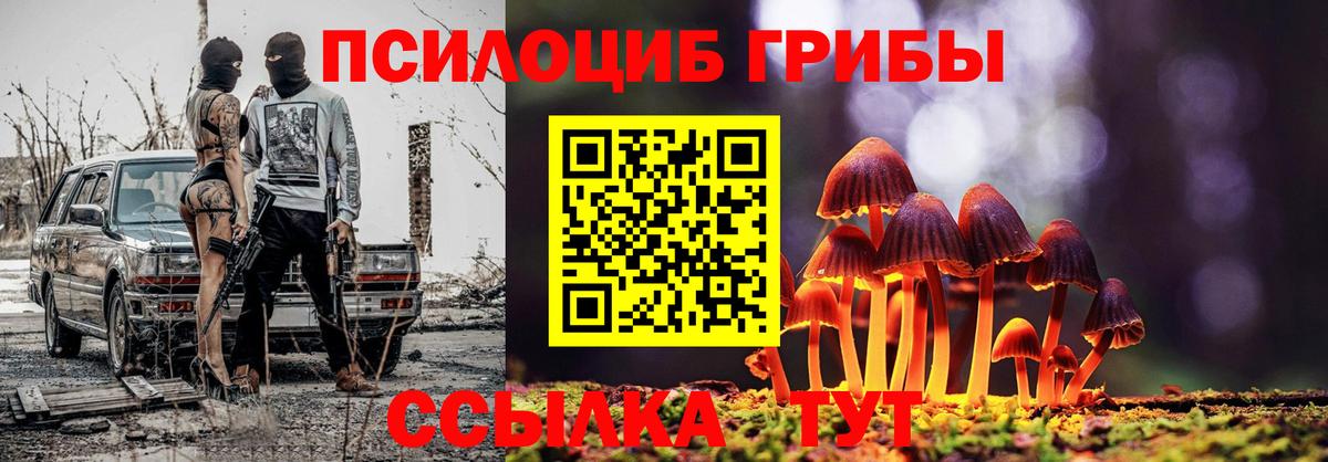 Псилоцибиновые грибы Psilocybine cubensis Сарапул